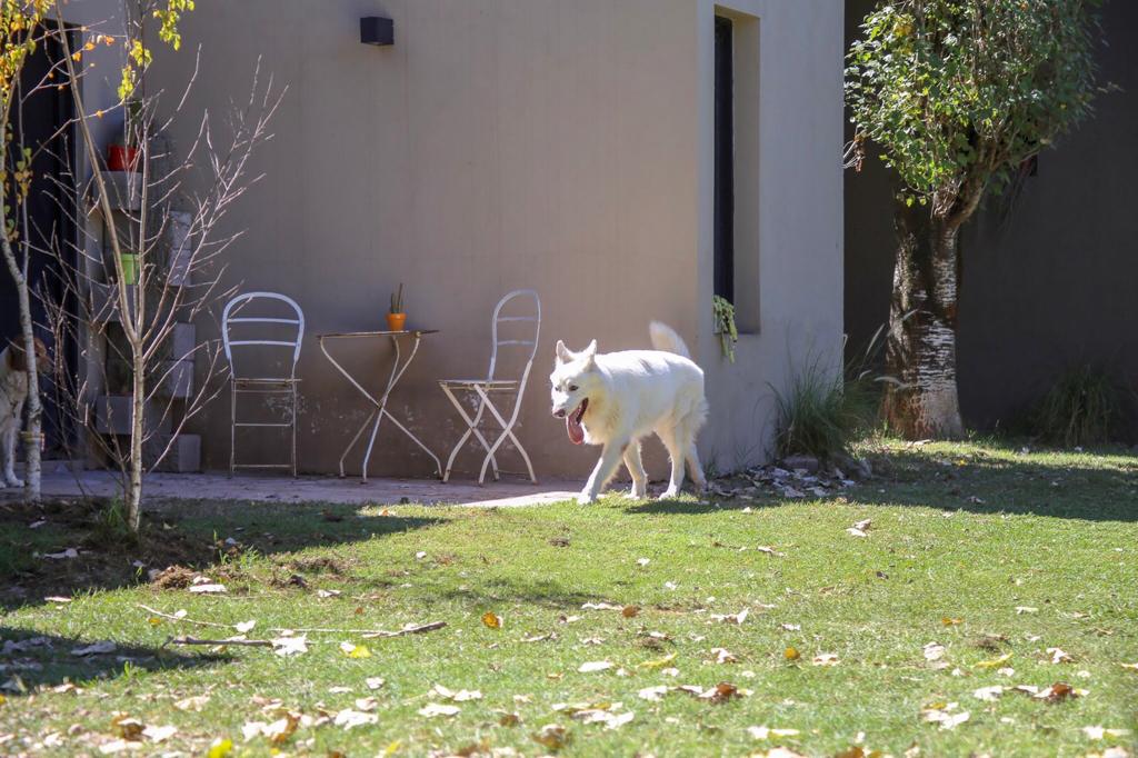 268f3d6d-3da7-403e-b937-e5178a2b27fc (1)