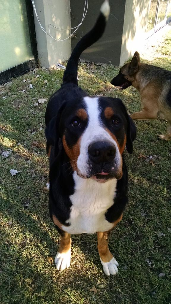 30a26332-8142-4c3c-a57e-a7314da6e966