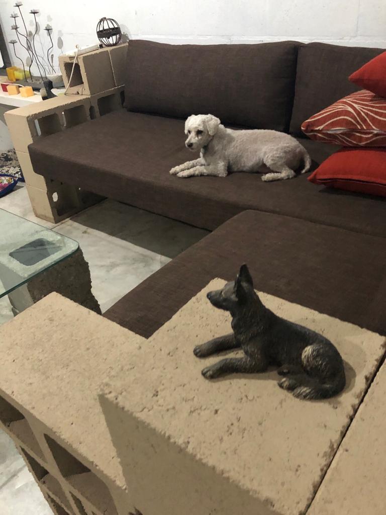 WhatsApp Image 2019-11-30 at 10.26.33