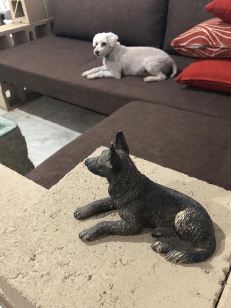 WhatsApp Image 2019-11-30 at 10.26.34 (1)