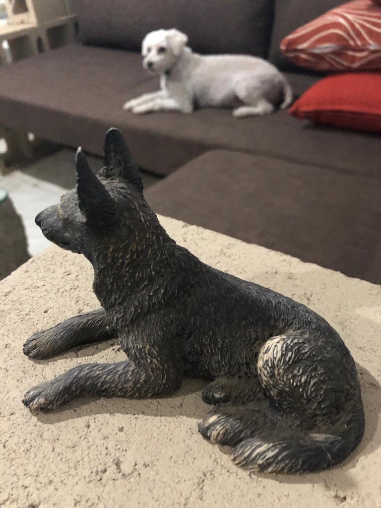 WhatsApp Image 2019-11-30 at 10.26.34 (2)