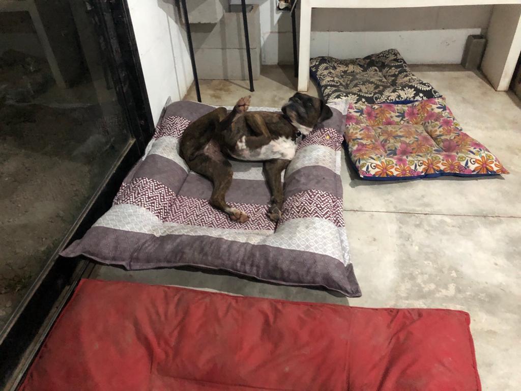 WhatsApp Image 2019-11-30 at 10.26.34 (3)