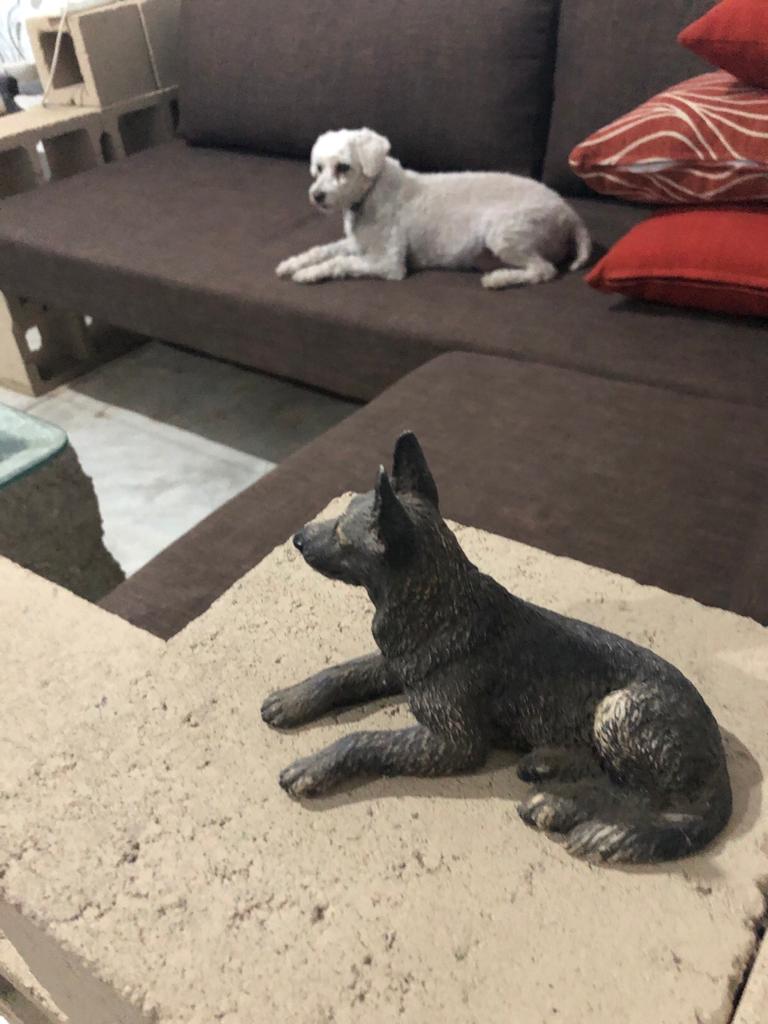 WhatsApp Image 2019-11-30 at 10.26.34