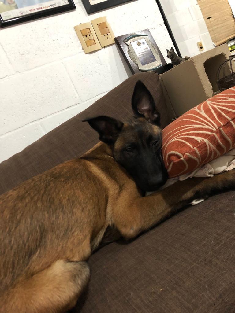 WhatsApp Image 2019-11-30 at 10.26.35 (1)