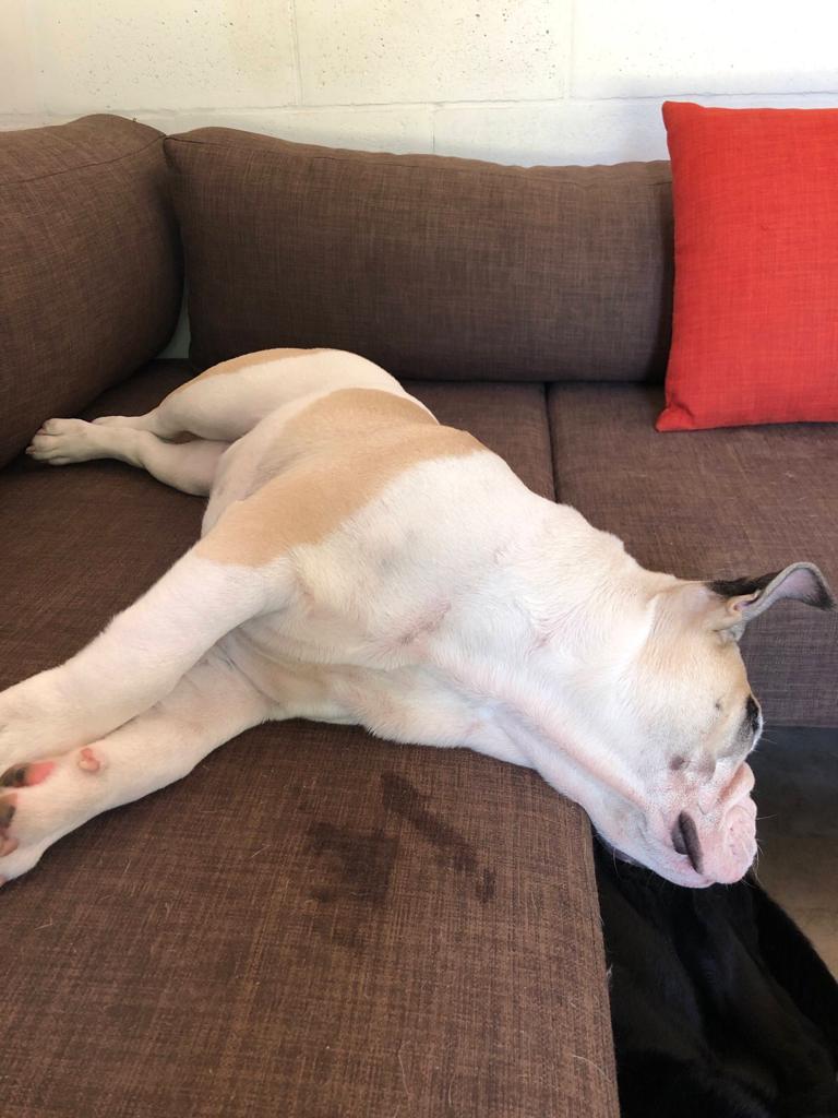 WhatsApp Image 2019-11-30 at 10.26.35 (2)