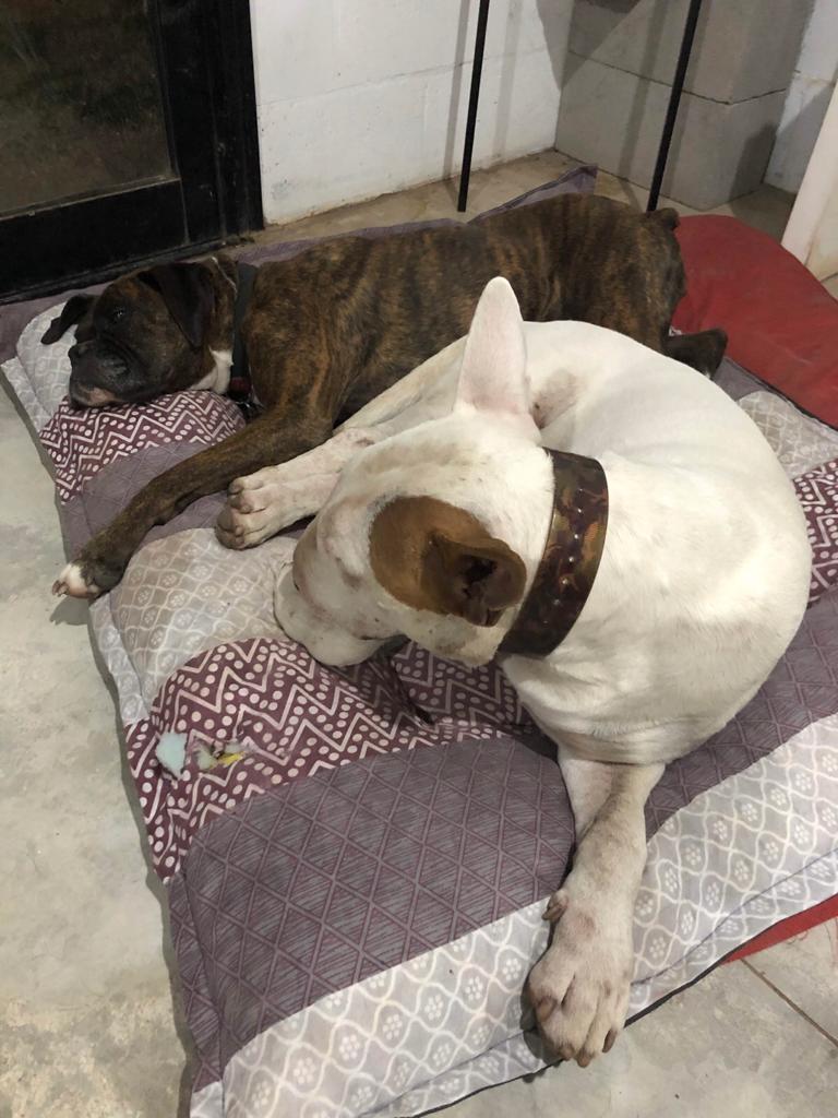 WhatsApp Image 2019-11-30 at 10.26.35 (3)