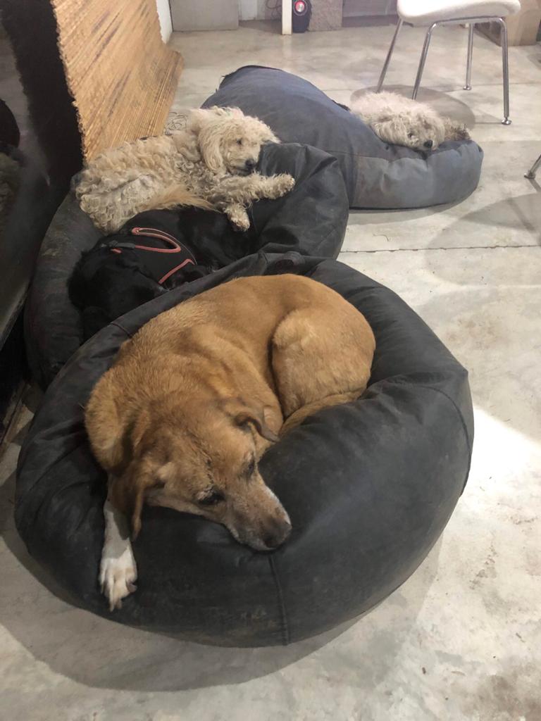 WhatsApp Image 2019-11-30 at 10.26.35