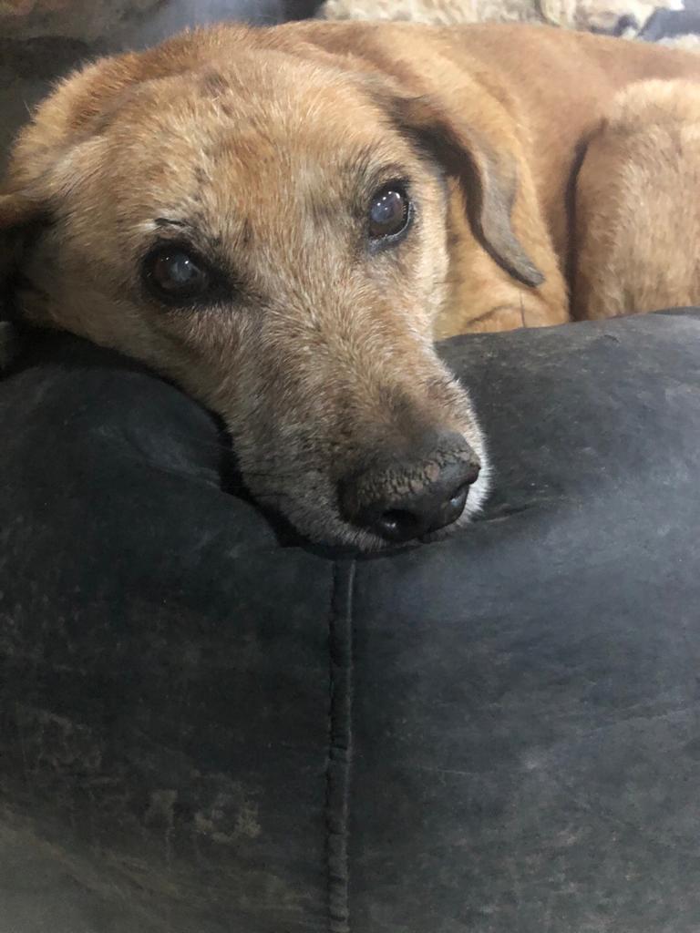 WhatsApp Image 2019-11-30 at 10.26.36 (1)