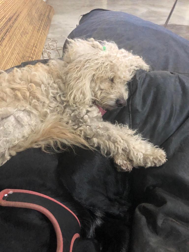 WhatsApp Image 2019-11-30 at 10.26.36