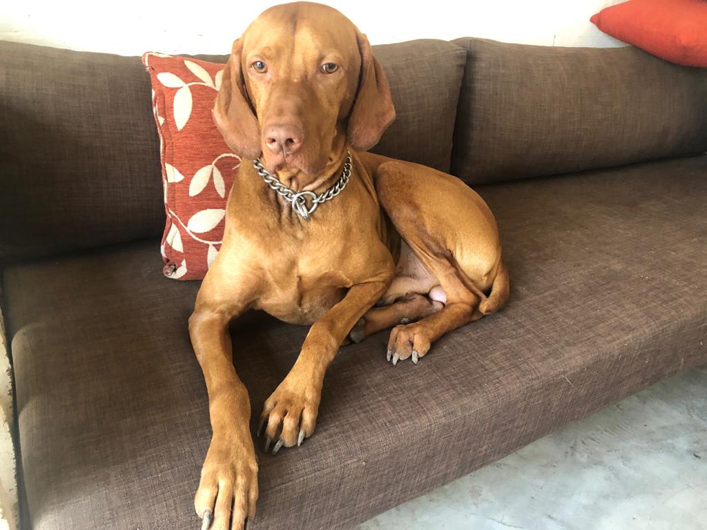 WhatsApp Image 2019-11-30 at 10.26.37